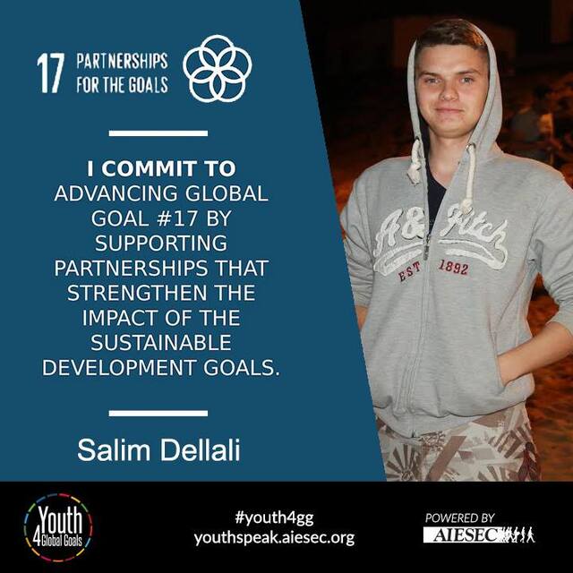 sdg17